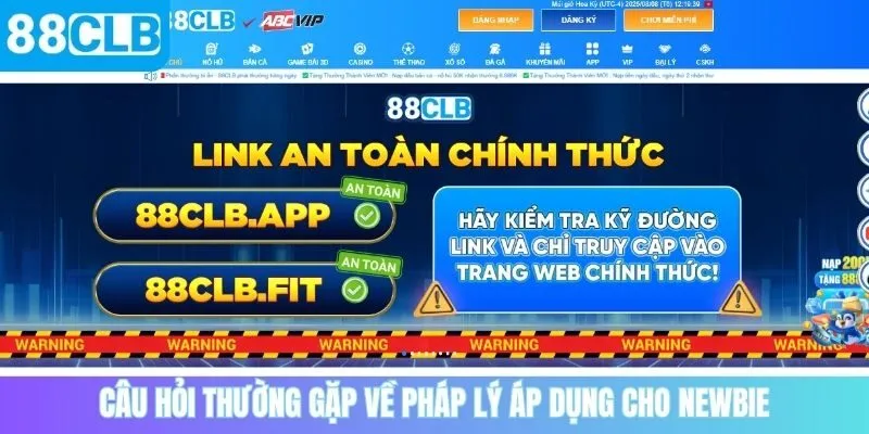 Câu hỏi thường gặp về pháp lý áp dụng cho newbie