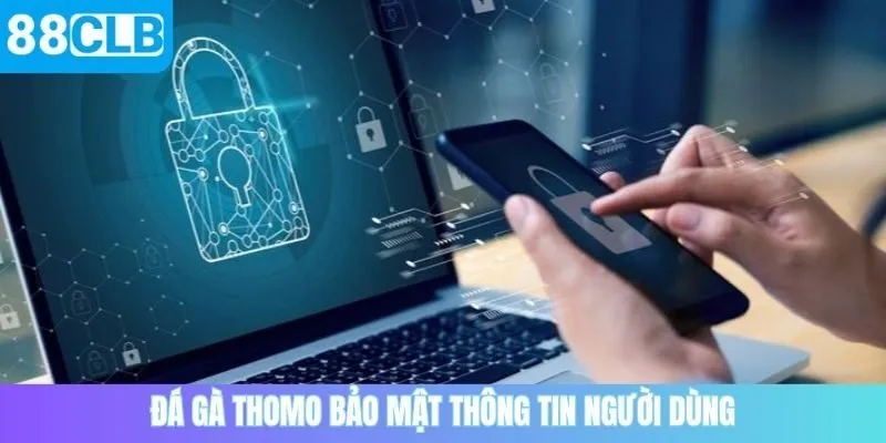 Đá gà Thomo bảo mật thông tin người dùng