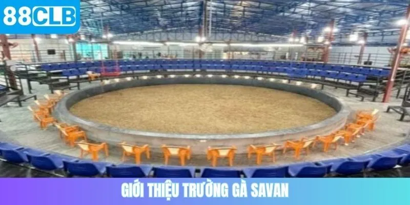 Giới thiệu trường gà Savan