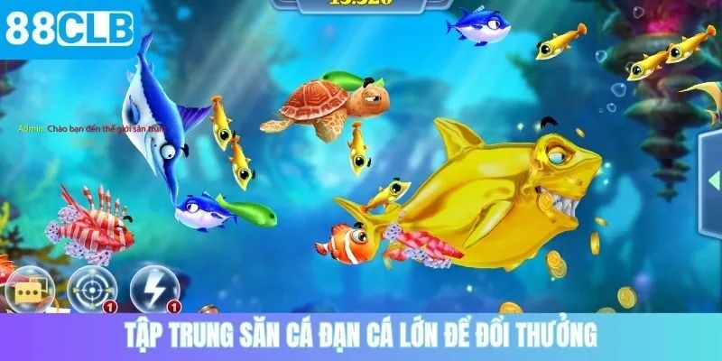 Tập trung săn cá đạn cá lớn để đổi thưởng