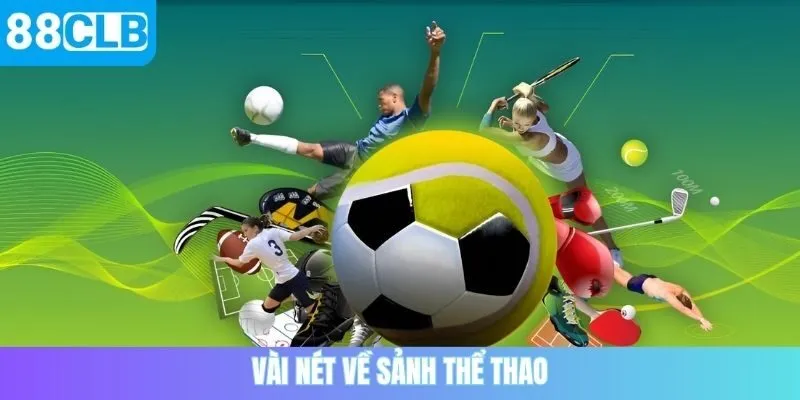 Vài nét về sảnh thể thao